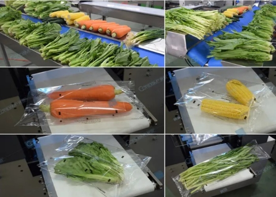 Vegetables 220v Pillow Type Packing Machine 50hz Pillow Pouch Machine